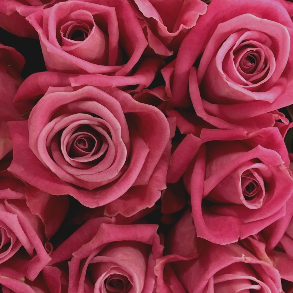 Meet your Posher, TD